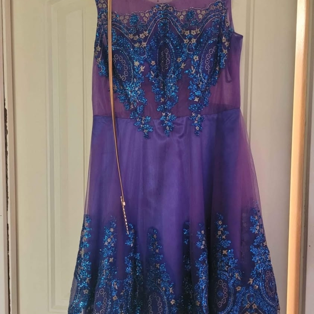 Purple and Blue Embroidered Dress
